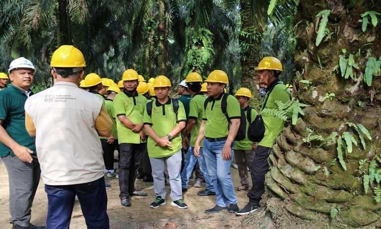 Best Planter Indonesia