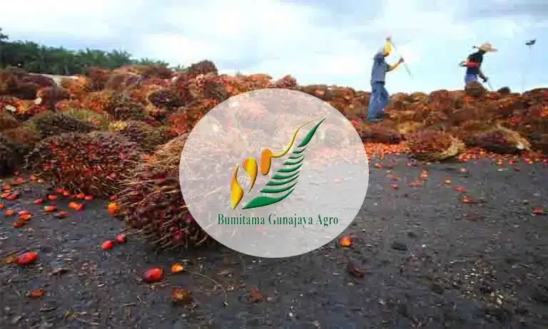 bumitama gunajaya agro