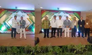 palmex medan