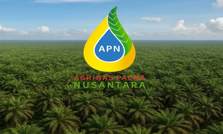 Agrinas Palma Nusantara, Konglomerasi Sawit