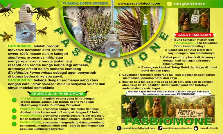 PT Pascal Biotech Indonesia Kembangkan Produk Pasbiomone Untuk Tingkatkan Produktivitas Sawit Indonesia 1 pasbiomone