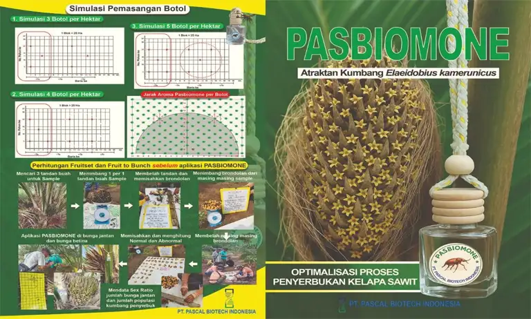 PT Pascal Biotech Indonesia Kembangkan Produk Pasbiomone Untuk Tingkatkan Produktivitas Sawit Indonesia 2 pasbiomone2