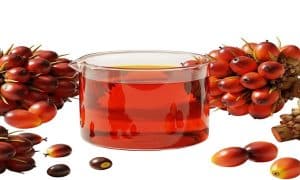 Minyak Kelapa Sawit, Crude Palm Oil (CPO)