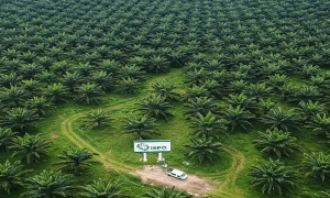 Agrina Sawit Perdana, ISPO