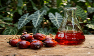 Cisadane Sawit Raya, CPO