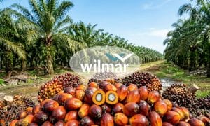 Wilmar