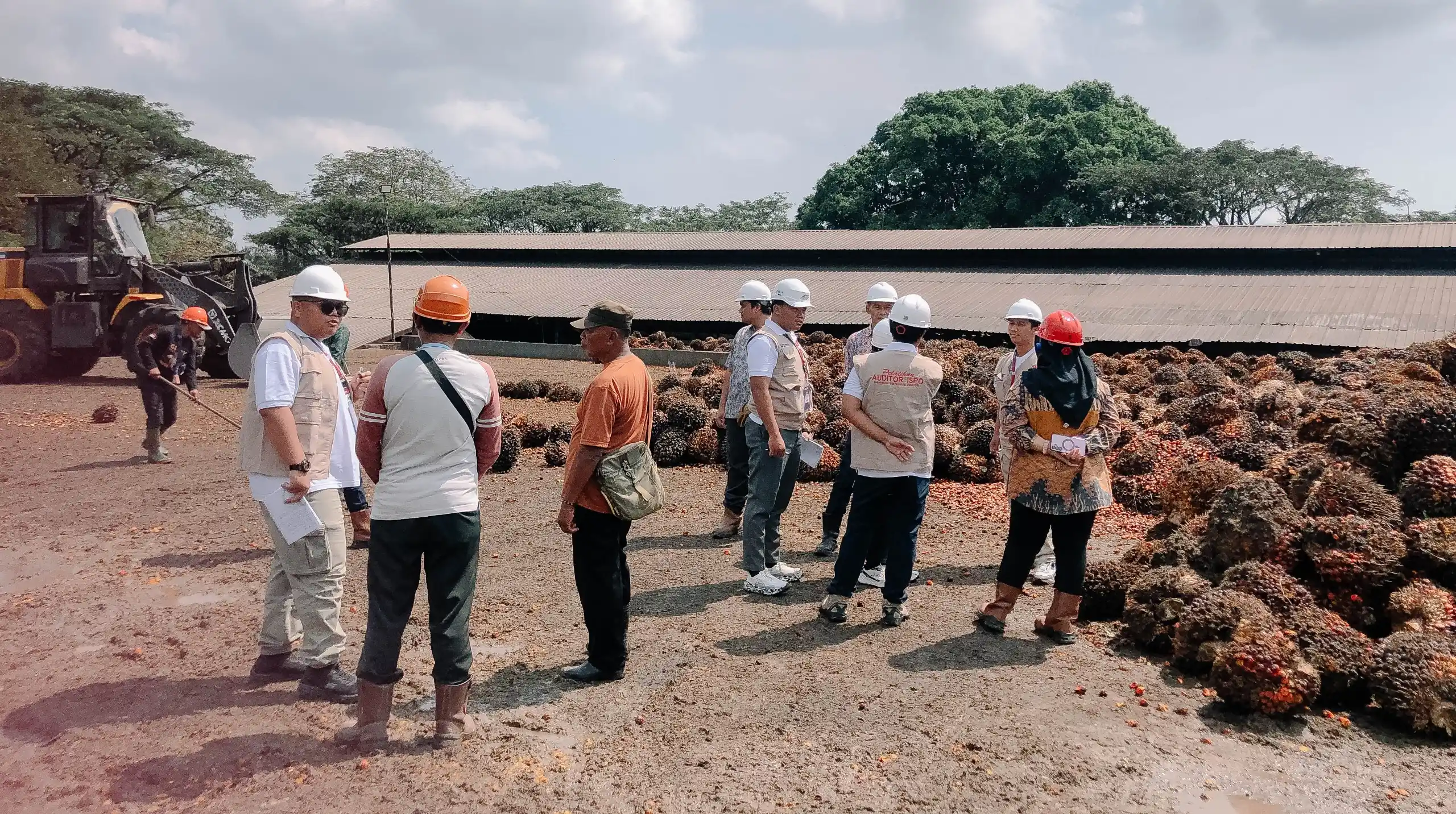 Sukses Digelar, Pelatihan Auditor ISPO DGL Learning Institute Tingkatkan Kompetensi Auditor Sawit Berkelanjutan 1 ipo news 14041105