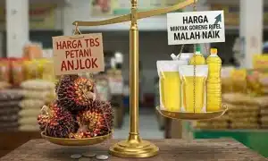 Harga Minyak Goreng