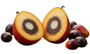 Tandan Buah Segar
