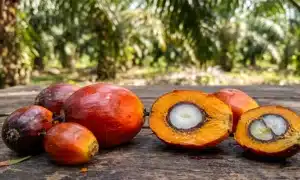 Agro Indomas