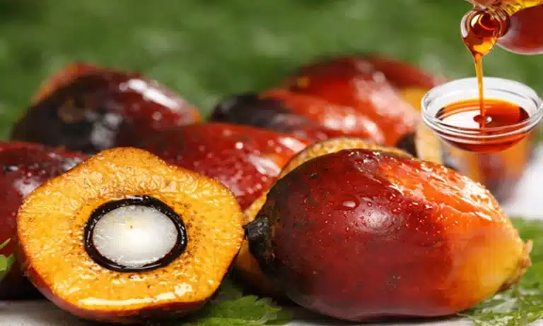 Palm Kernel