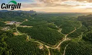 Cargill Group
