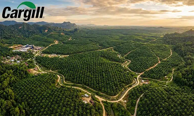 Cargill Group