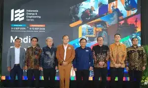 IEE Series