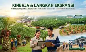 PT PP London Sumatra Indonesia Tbk.