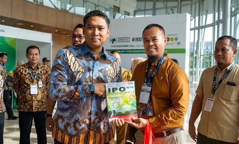IPO News, Palm Oil
