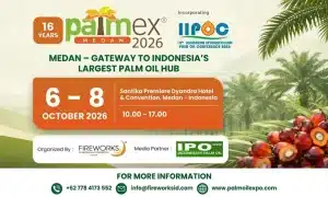 IPO NEWS, Palmex Medan