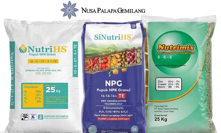 Nusa Palapa Gemilang