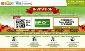 Palmex Medan