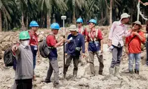 BPDP, Daya Guna Lestari, PTPN