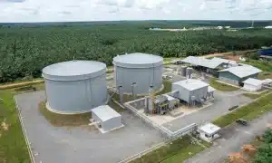 TSE Group, KIS Group