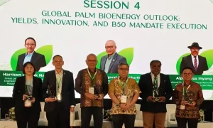 B50 Indonesia, global palm oil