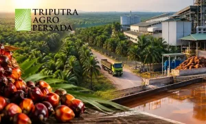 Triputra Agro Persada, tapg, Triputra Agro