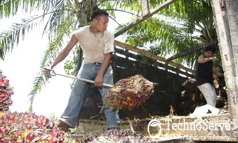 More Value per Hectare: TechnoServe on the Future of Indonesian Agribusiness 2 TechnoServe