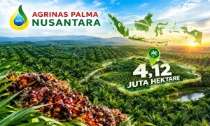Agrinas Palma