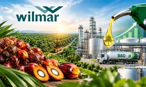 wilmar, biodiesel