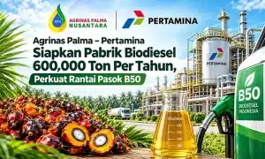 Agrinas Palma, Pertamina