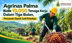 PT Agrinas Palma Nusantara, Agrinas Palma
