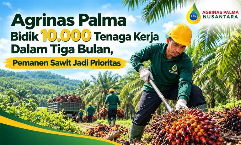 PT Agrinas Palma Nusantara, Agrinas Palma