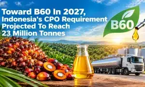 CPO, B60
