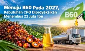 CPO, B60