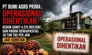 PT Bumi Agro Prima