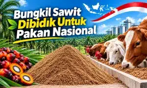 Sawit